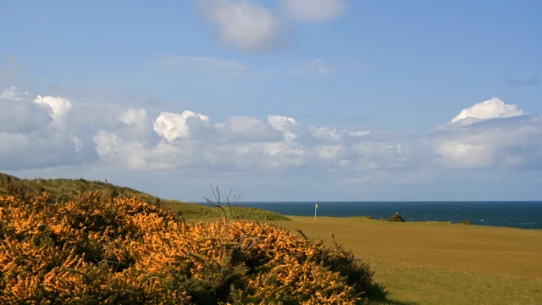 Pacific Dunes golf course in Oregon - no. 4