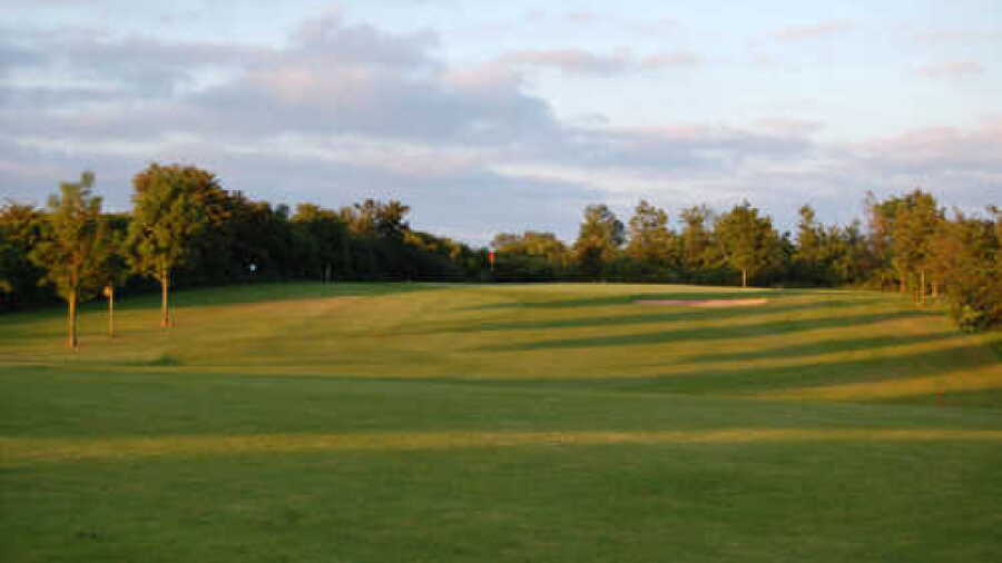 Stenerberg GC: #8