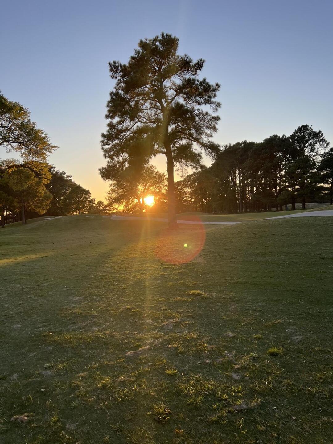 (Photo submitted by marcopineda on 03/20/2025)