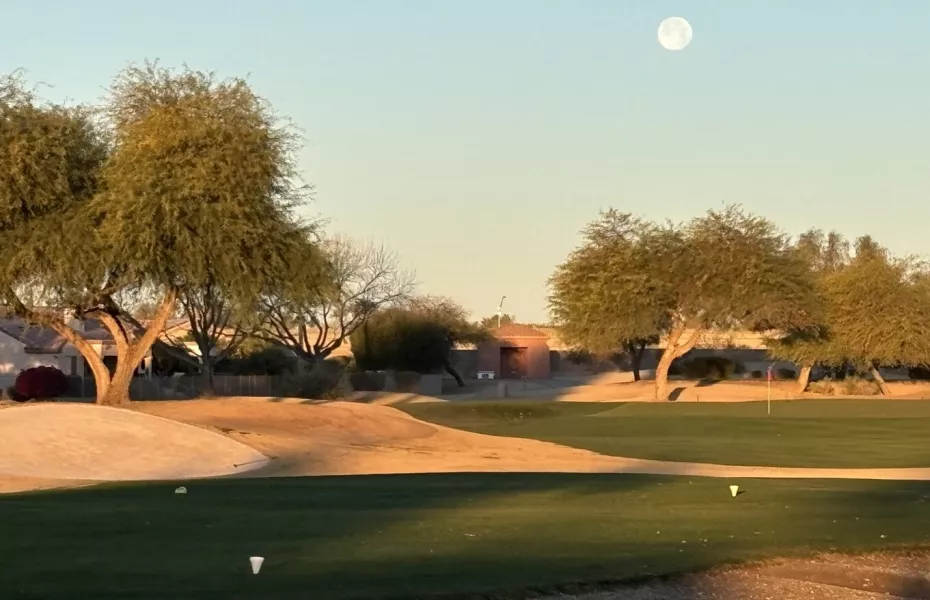 Desert Springs GC: #14