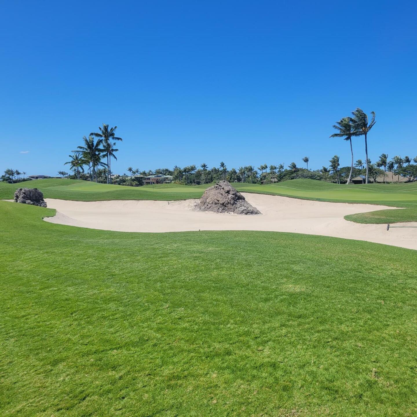 (Photo submitted by bucknerbd on 02/27/2023)