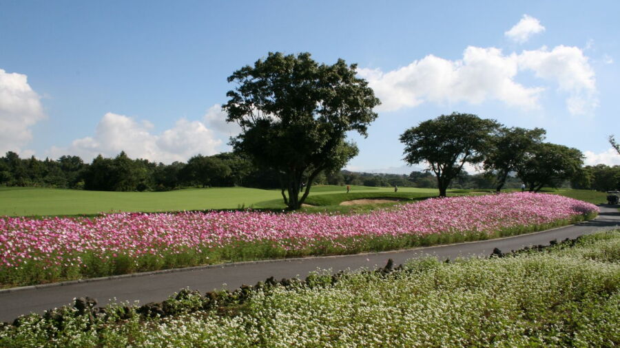 Blackstone Golf & Resort