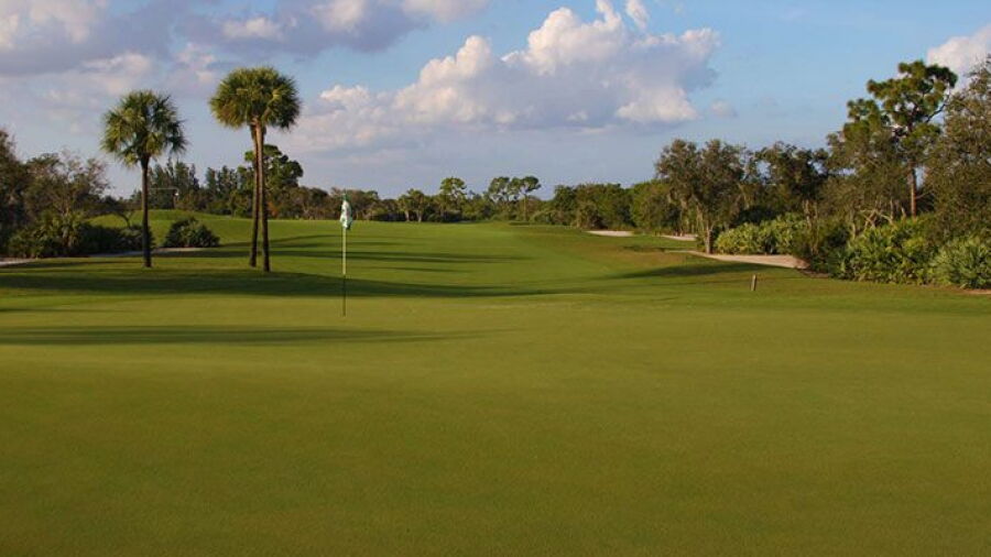 Hawk's Nest GC: #3