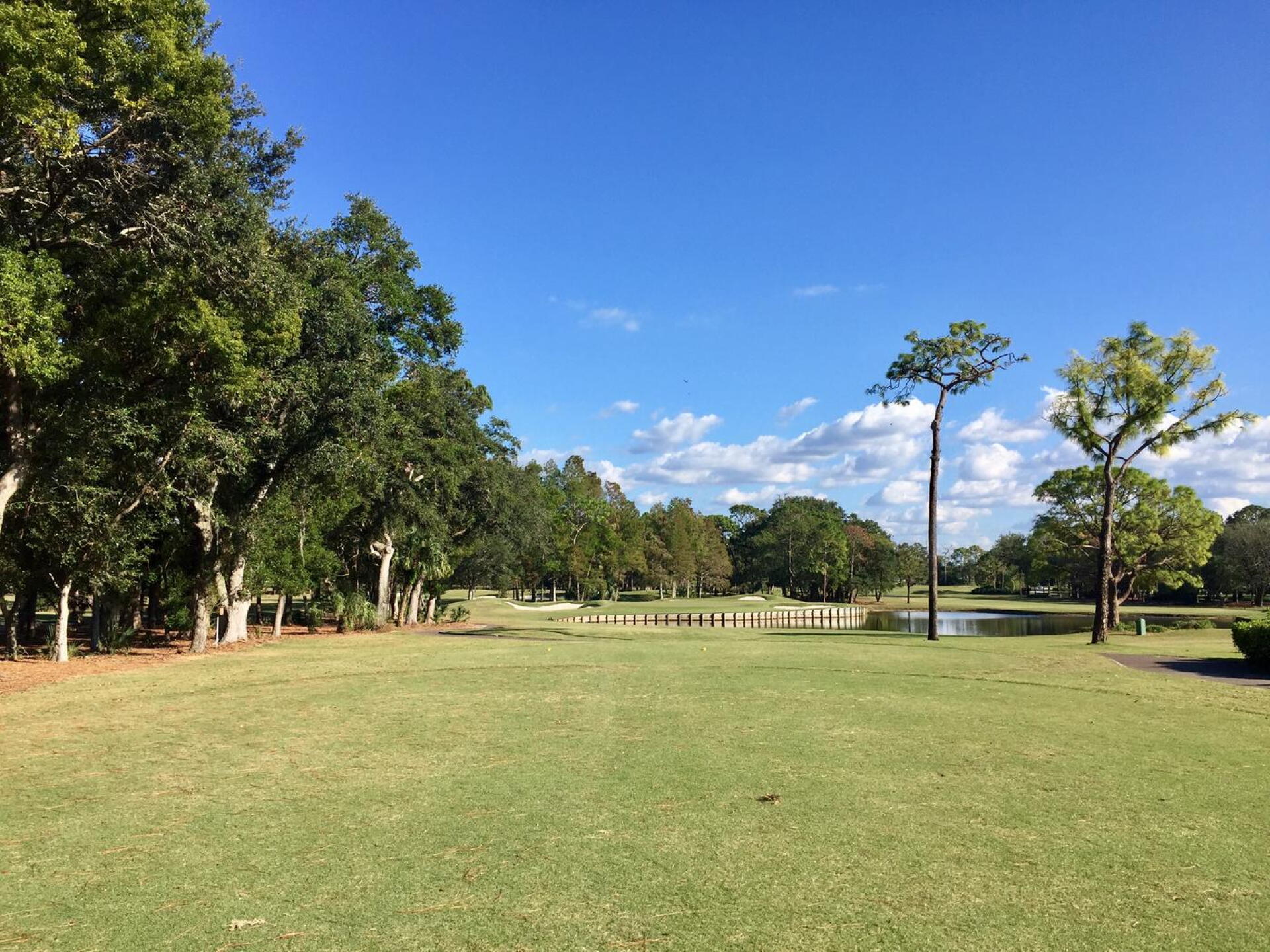 Copperhead's par-3 13th is blunt: hit the day's best iron or suffer the consequences. (Photo submitted by TimGavrichGP on 12/20/2017)
