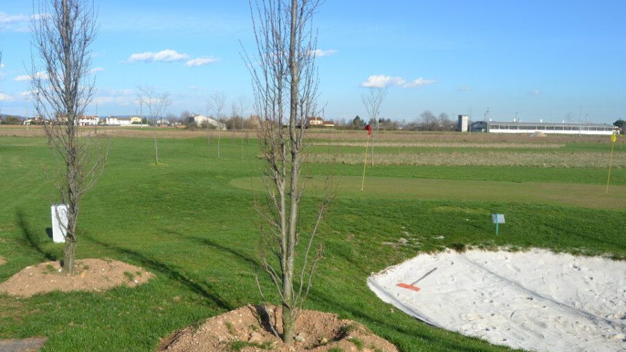 Bassano GC