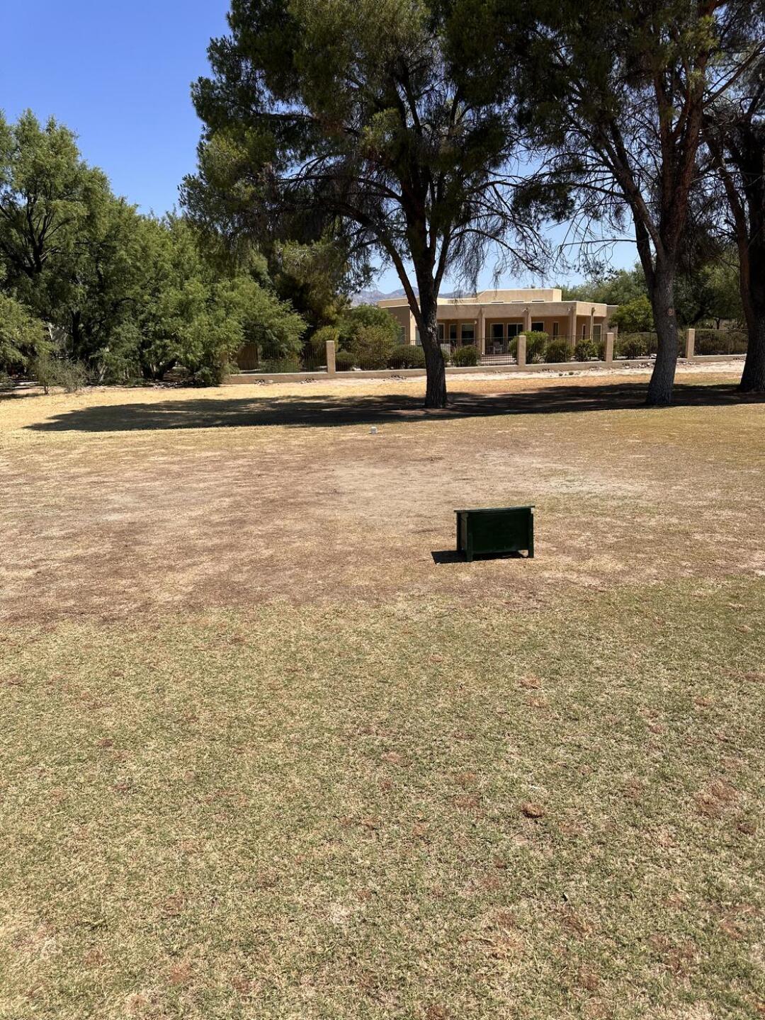 (Photo submitted by devonmicrook on 07/05/2023)