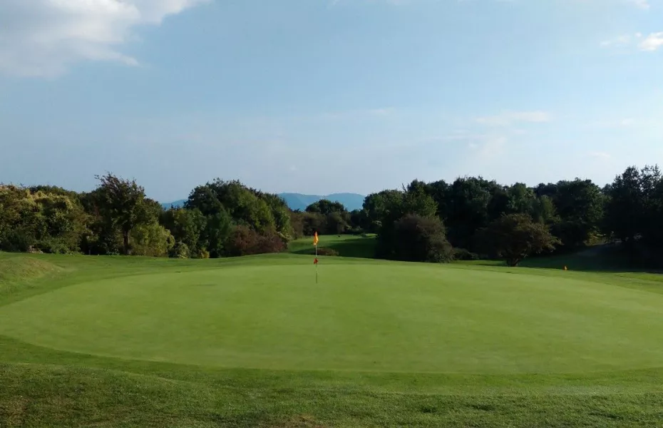 3rd green at Llanymynech