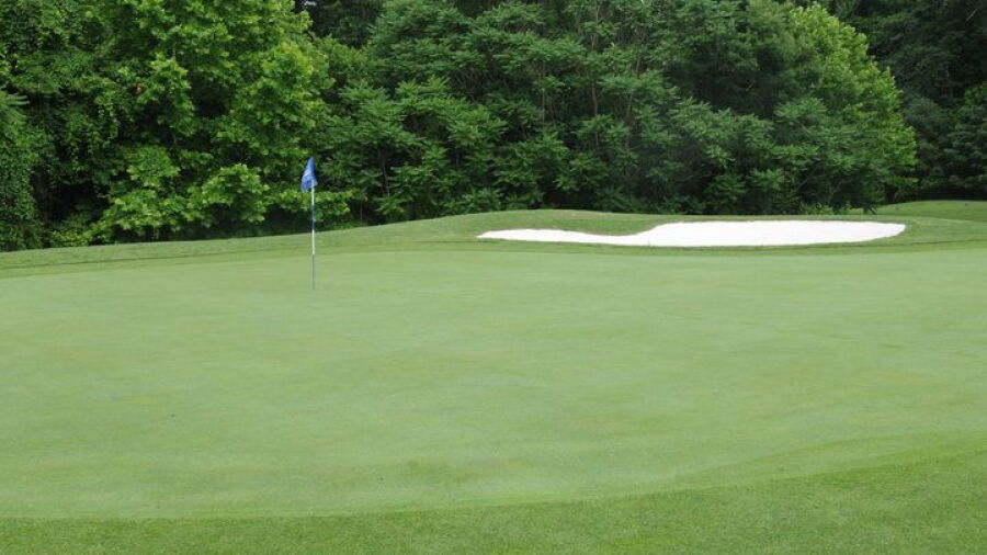 Lee's Hill GC: #12
