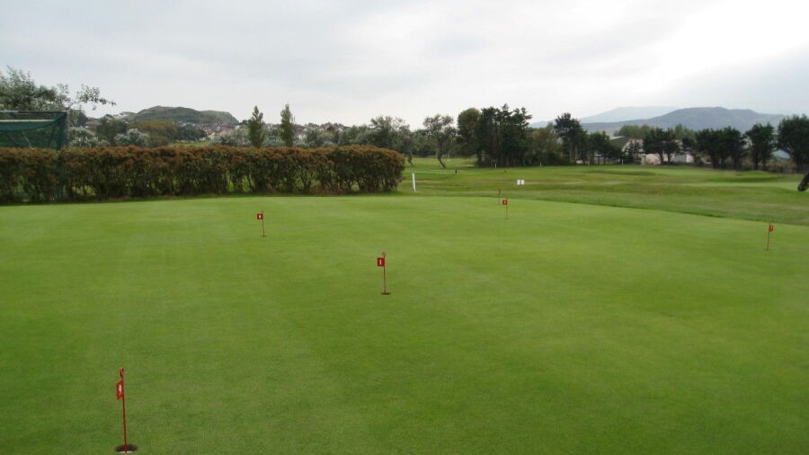 The putting green