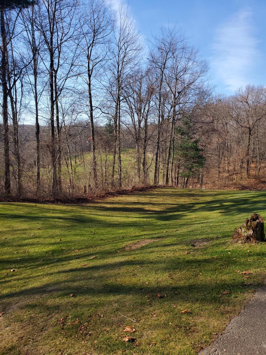 (Photo submitted by howardkhru on 11/11/2022)