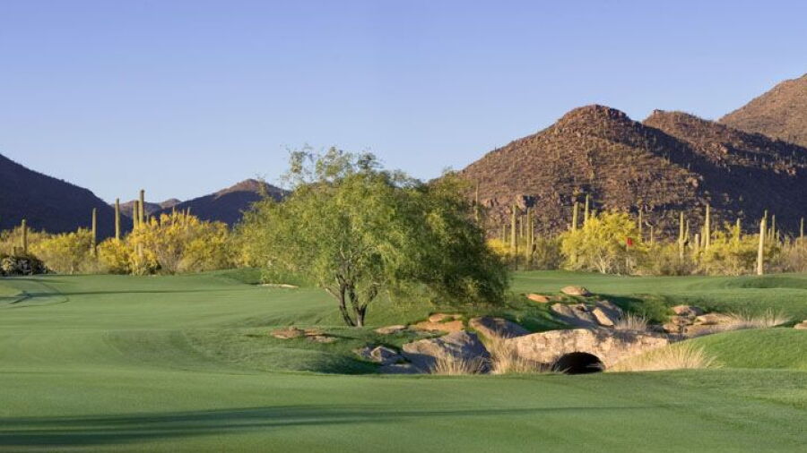Gallery Golf Club - South: #10