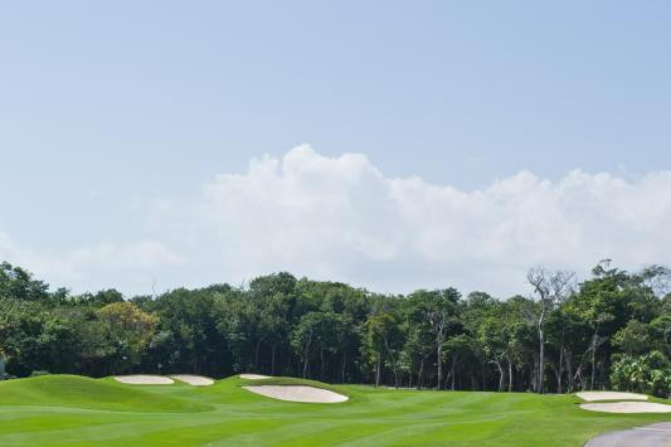 Driveable par 4, but pin is tucked behind the bunkers on the left side (Photo submitted by Matthew2277308 on 02/14/2013)