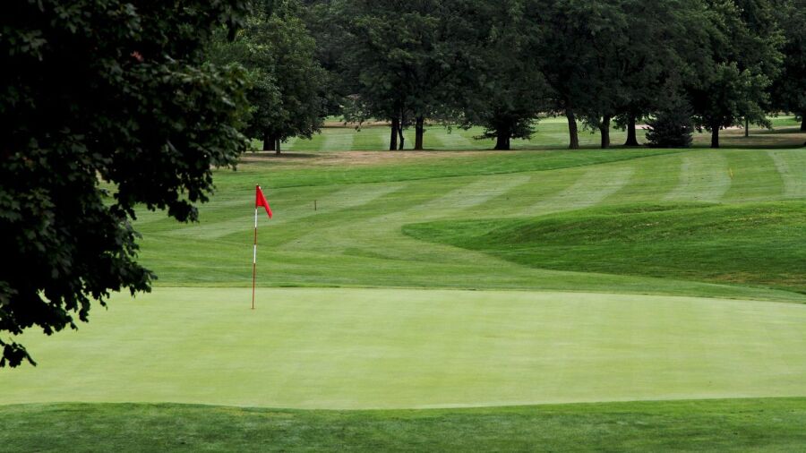 Executive at Jester Park GC