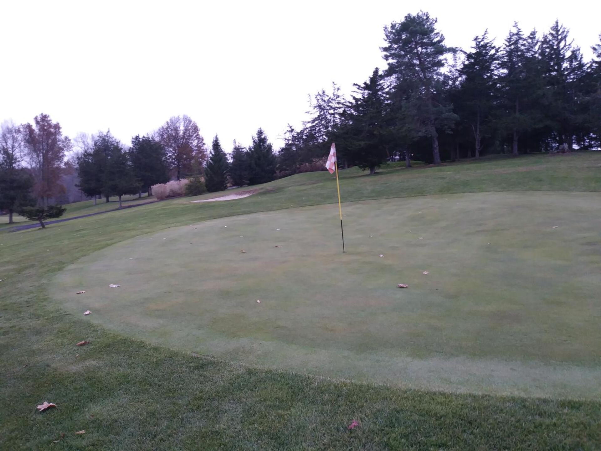After a 260 yard climb, we reach green 7. (Photo submitted by AptlyLinked on 11/23/2019)