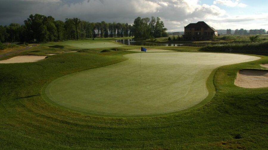 Grey Hawk GC