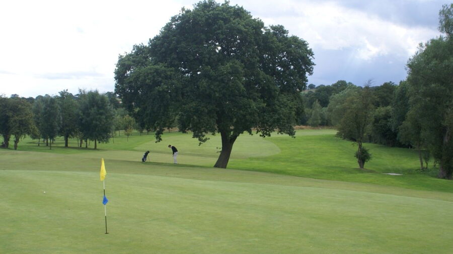 8th green at Manor GC