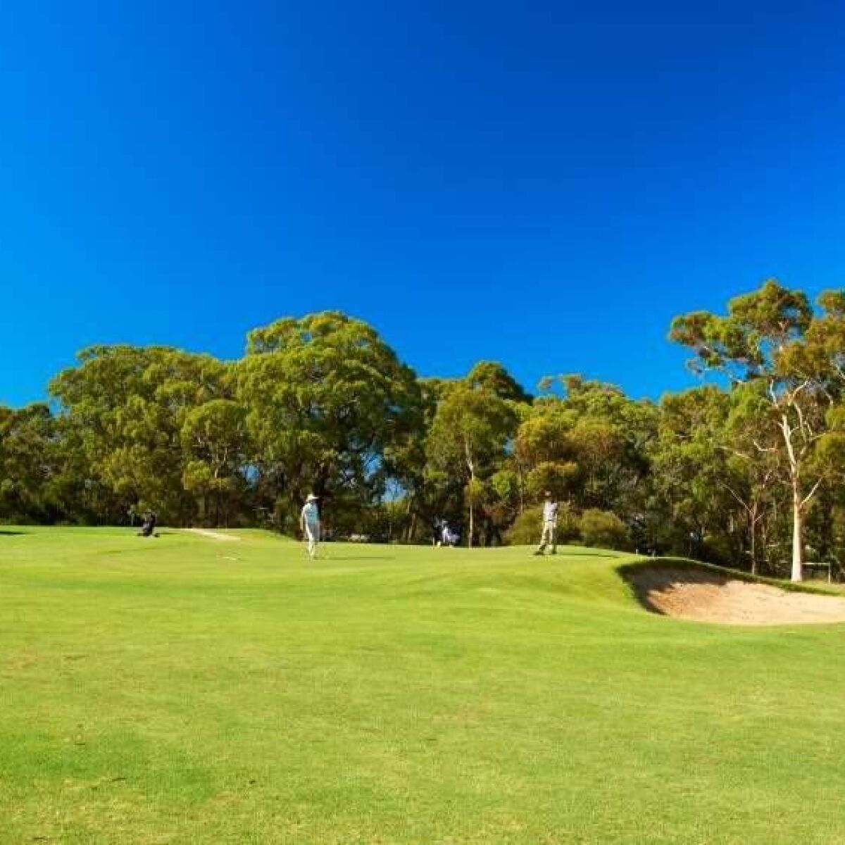 Belair National Park Public Golf Course & Country Club in Upper Sturt