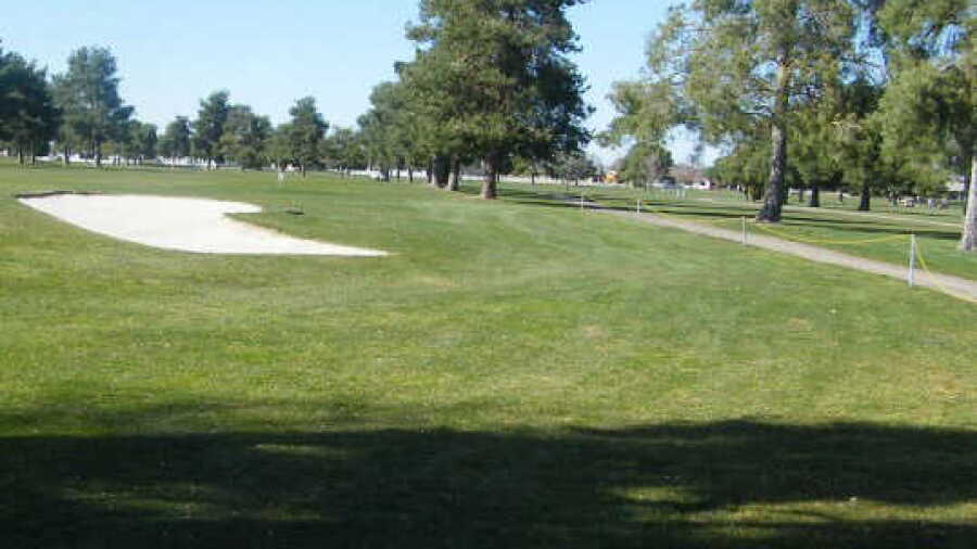 Purple Sage GC