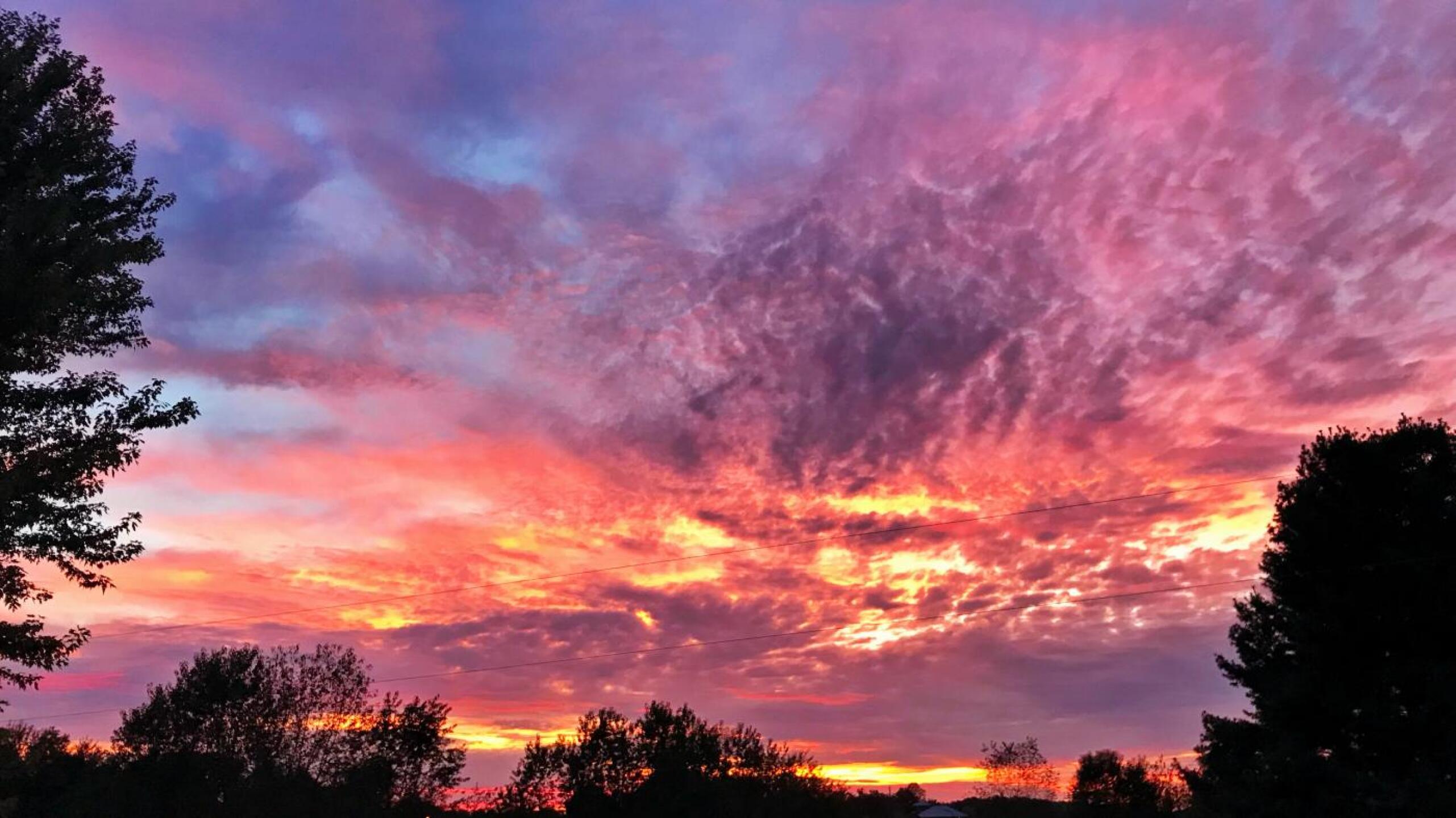 (Photo submitted by u000007924774 on 05/29/2019)