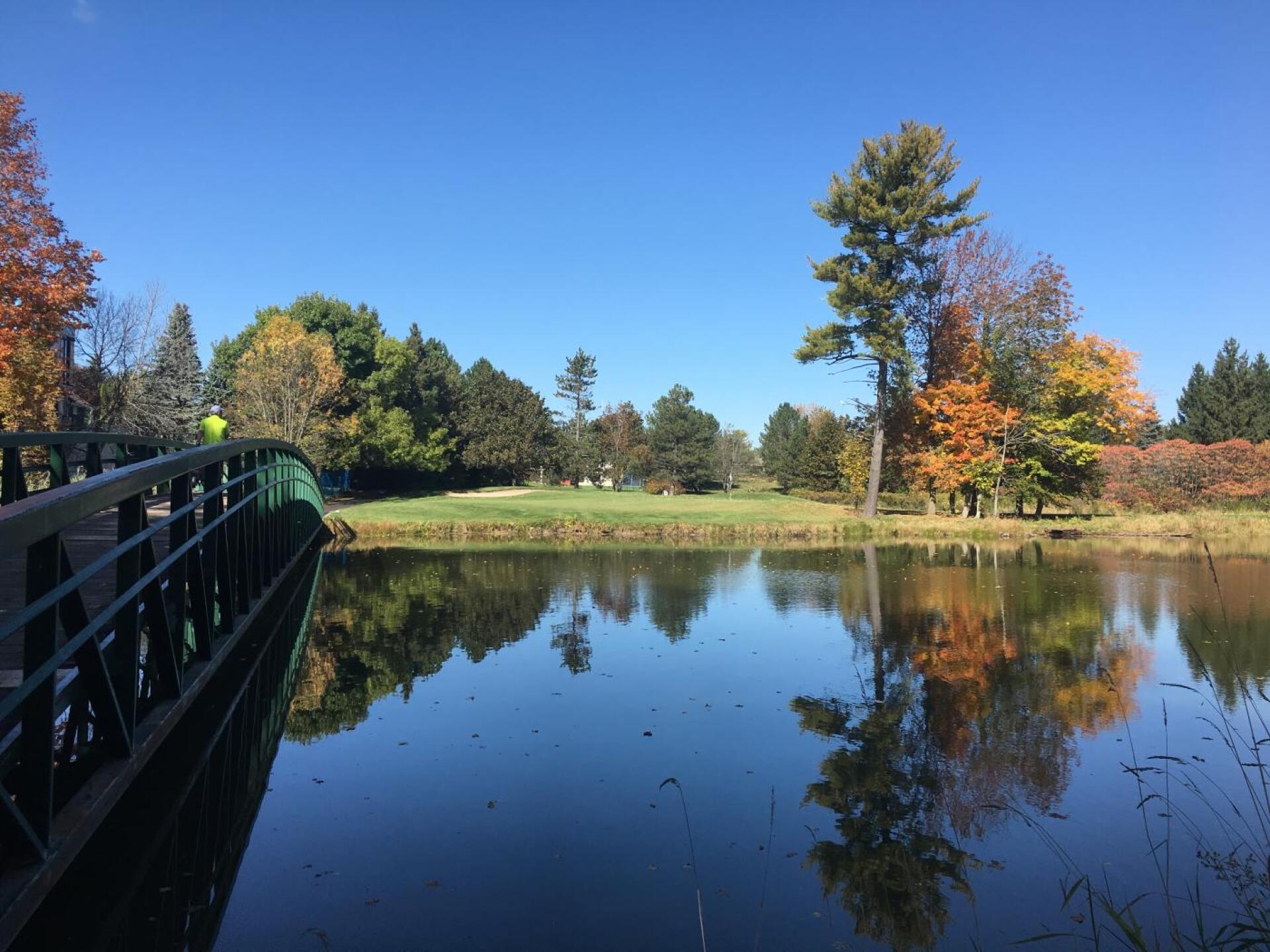 (Photo submitted by ml109 on 10/10/2019)