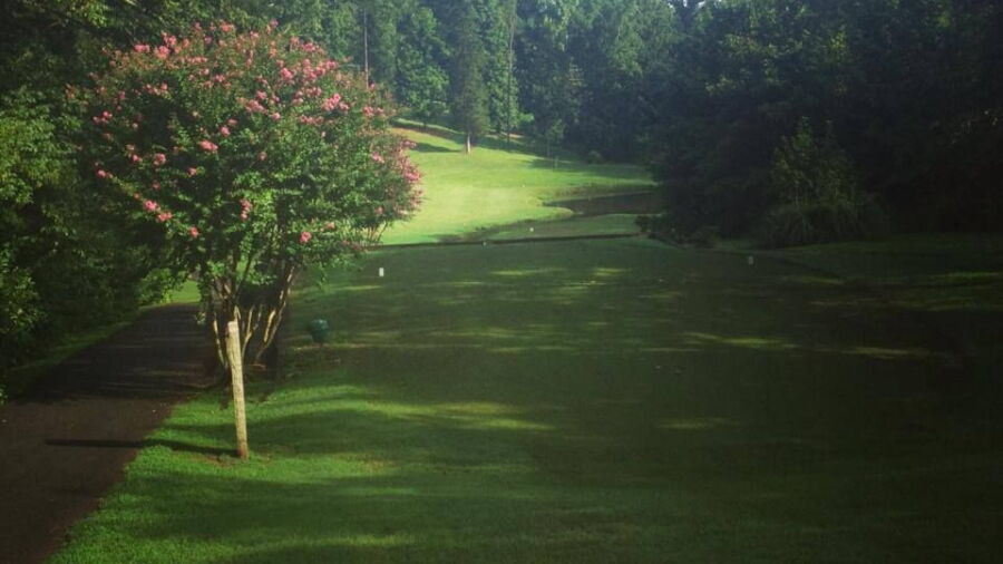 Kinderton CC: #17
