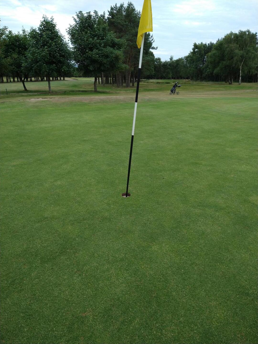 8th green (Photo submitted by u314163066418 on 07/11/2022)