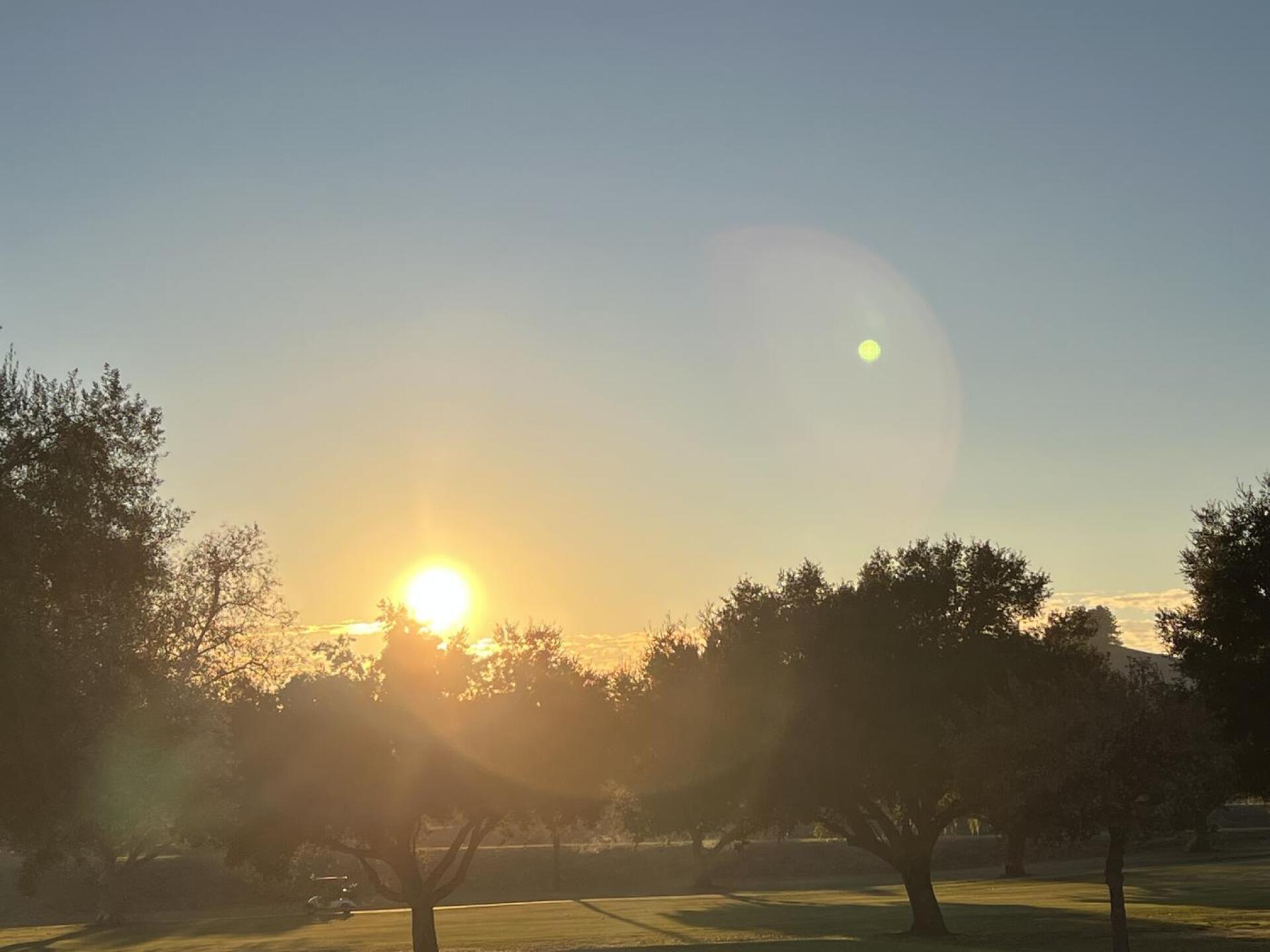 (Photo submitted by u314164693672 on 12/05/2024)