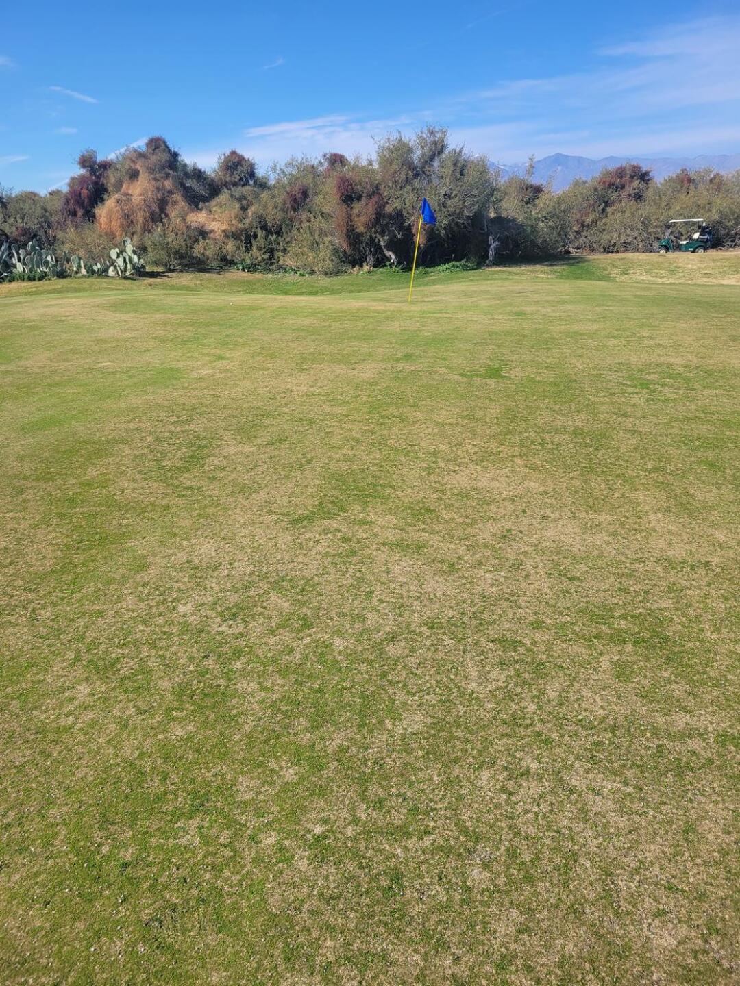 (Photo submitted by CliffTrombley on 12/02/2022)