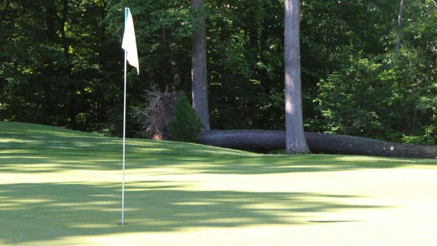 Copper Creek GC: #8