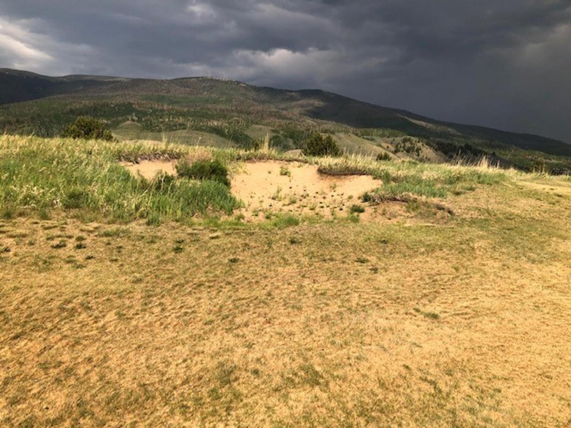 Fairway and Bunker (Photo submitted by HJCorr on 06/18/2021)