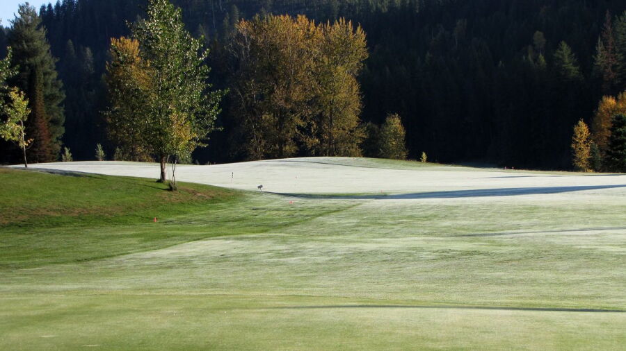 Priest Lake GC