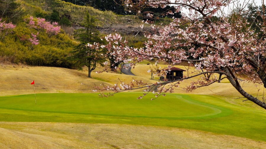 Kannami GC