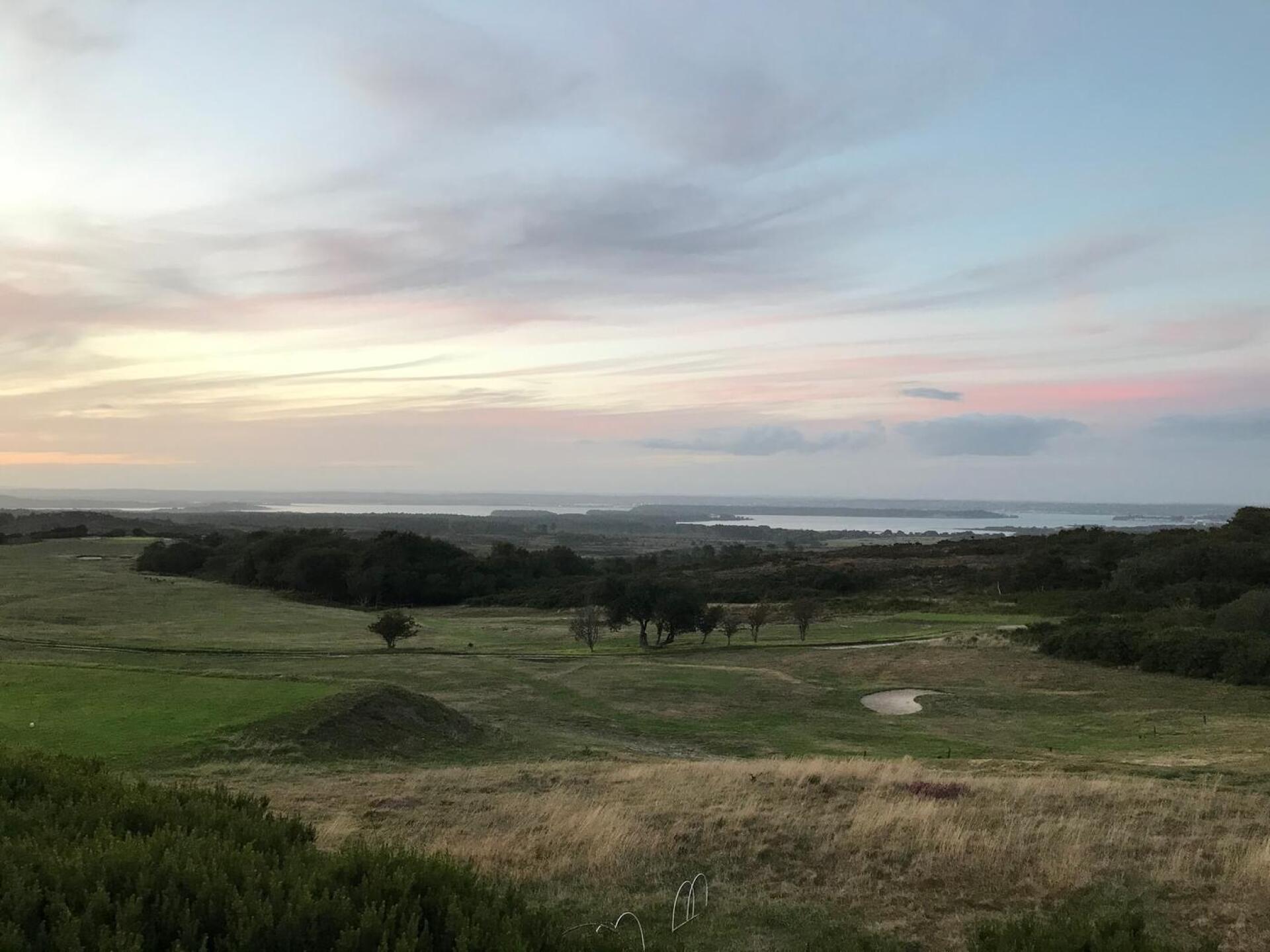 (Photo submitted by u569417899 on 08/27/2020)