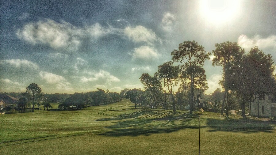 Innisbrook resort - Island golf course - back nine
