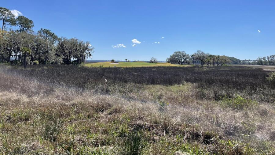 Old South - marsh views 