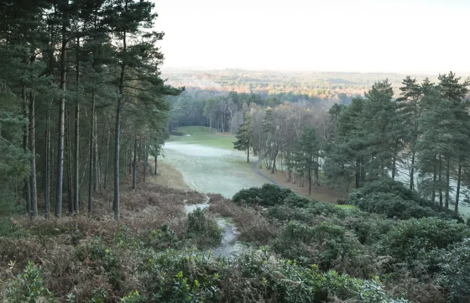 Old Thorns Manor Hotel, Golf & Country Estate