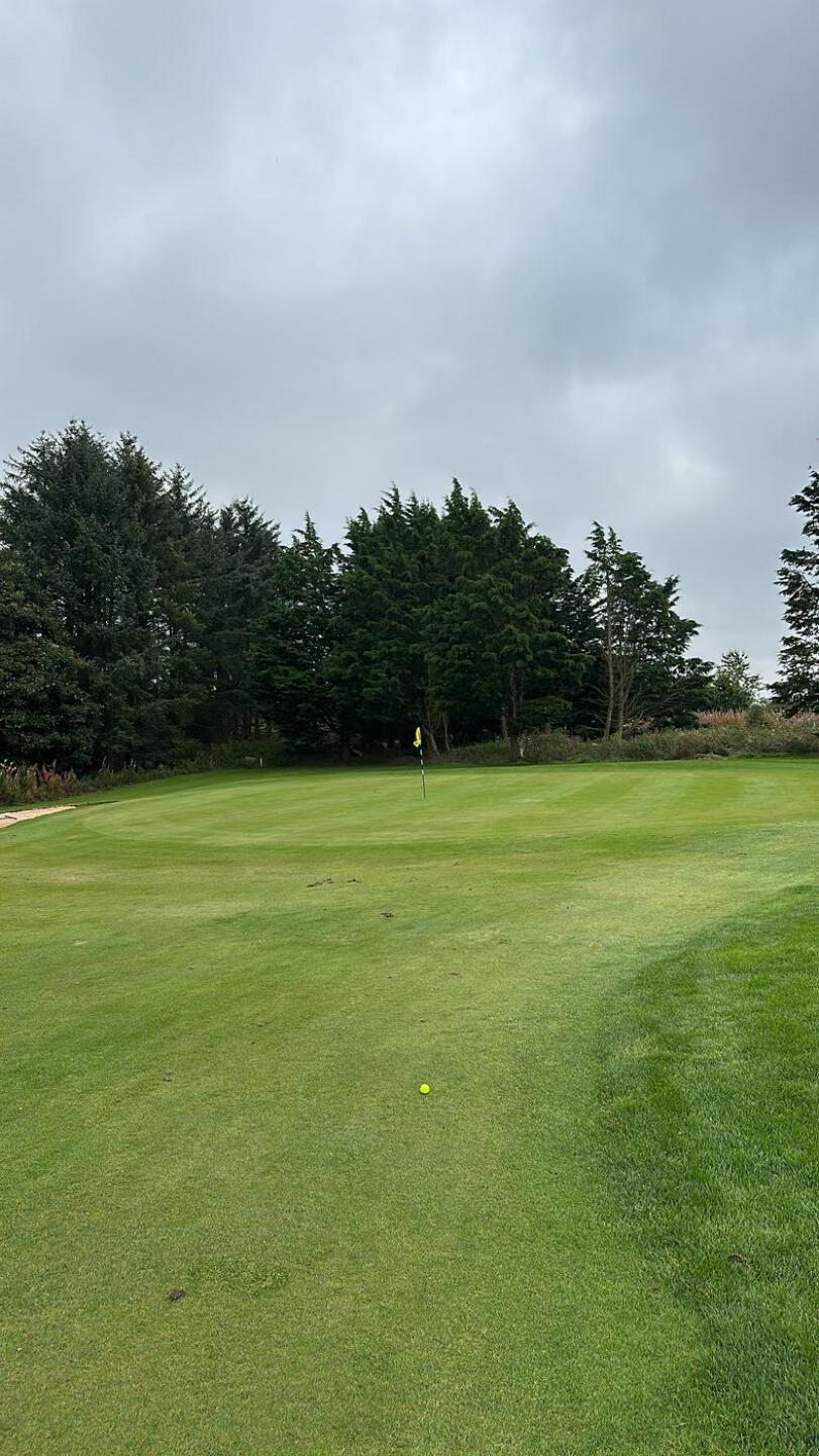 (Photo submitted by weecobb on 09/21/2024)