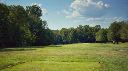 green-woods-1a.JPG