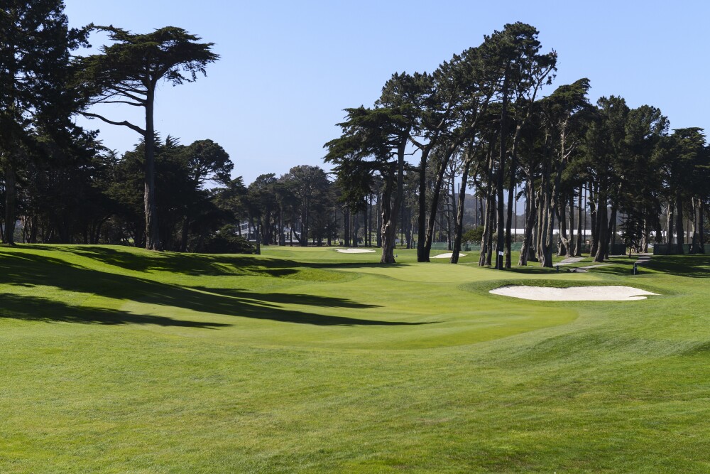 TPC Harding Park - hole 8