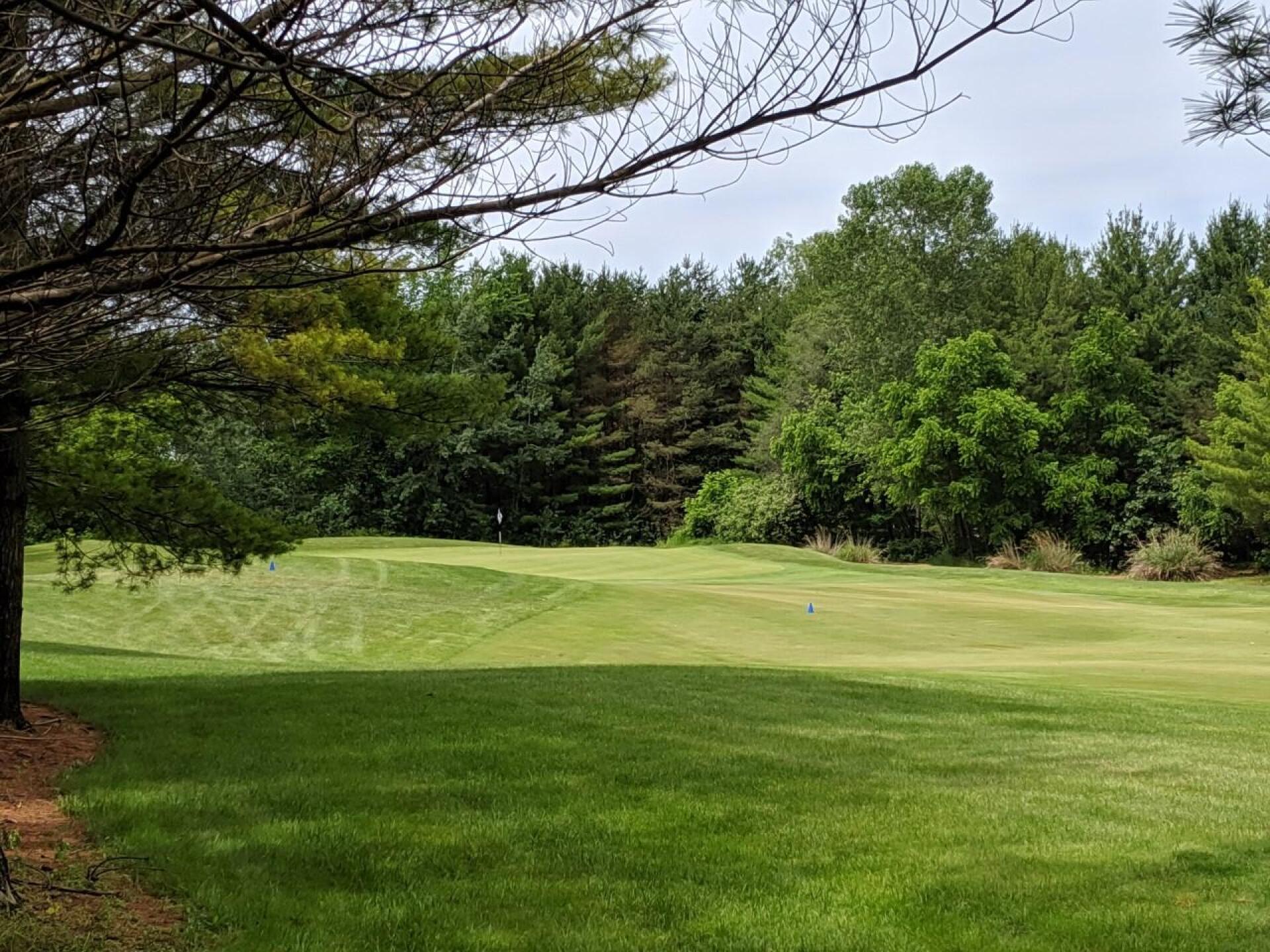 Hole 7 on the Blue Course (Photo submitted by GolferJake78 on 06/30/2019)