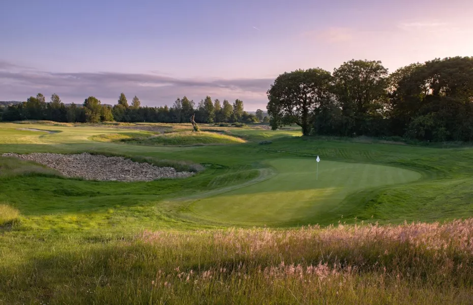 Mad Swans in The Mendips: #5