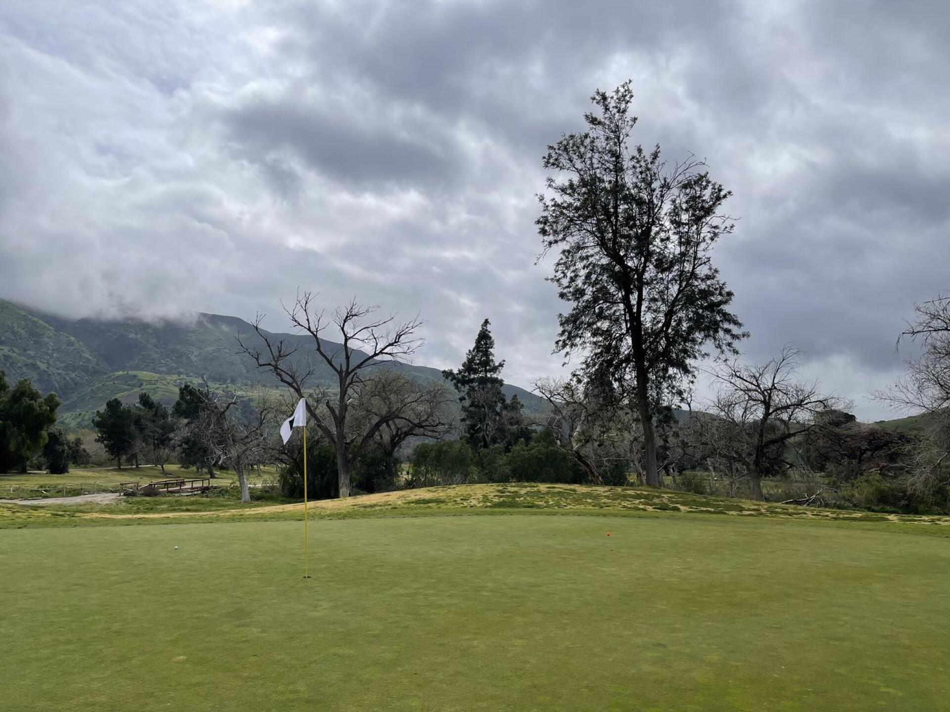 (Photo submitted by u3452271 on 03/06/2023)