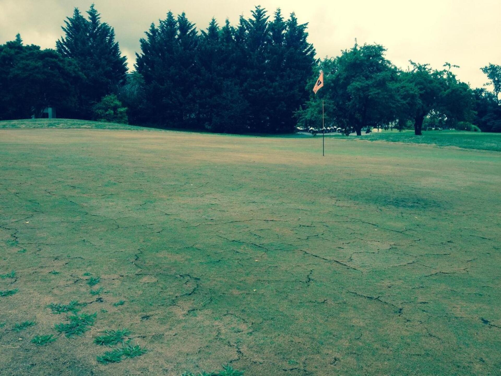 Typical green (Photo submitted by tonybull on 08/11/2015)