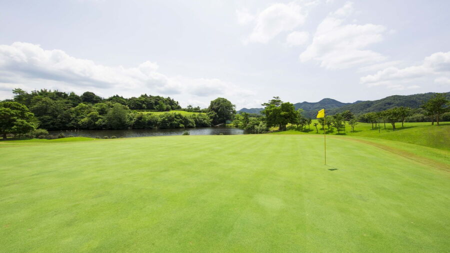Toyotako GC: #7