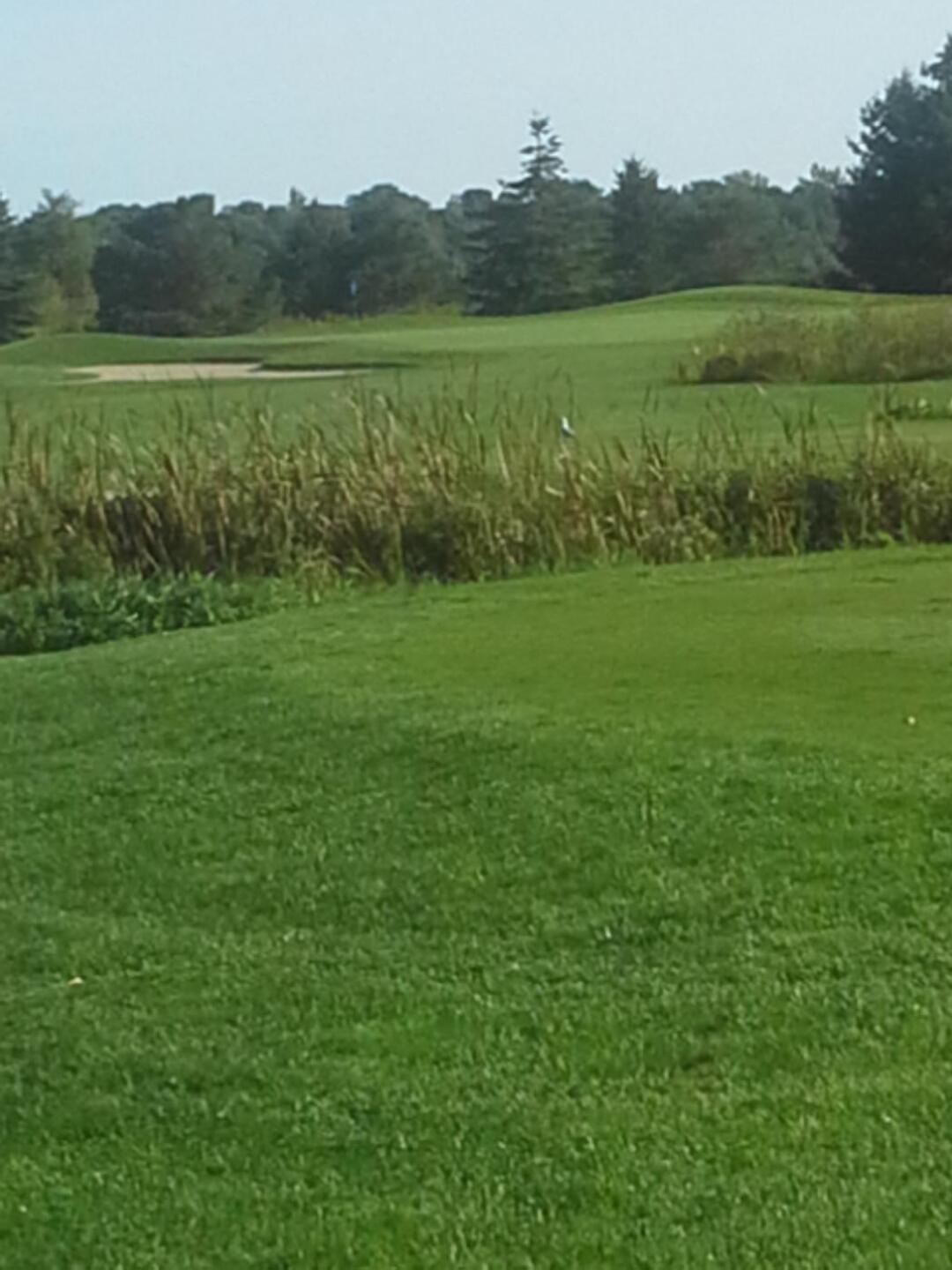 (Photo submitted by aceontwo on 09/27/2015)