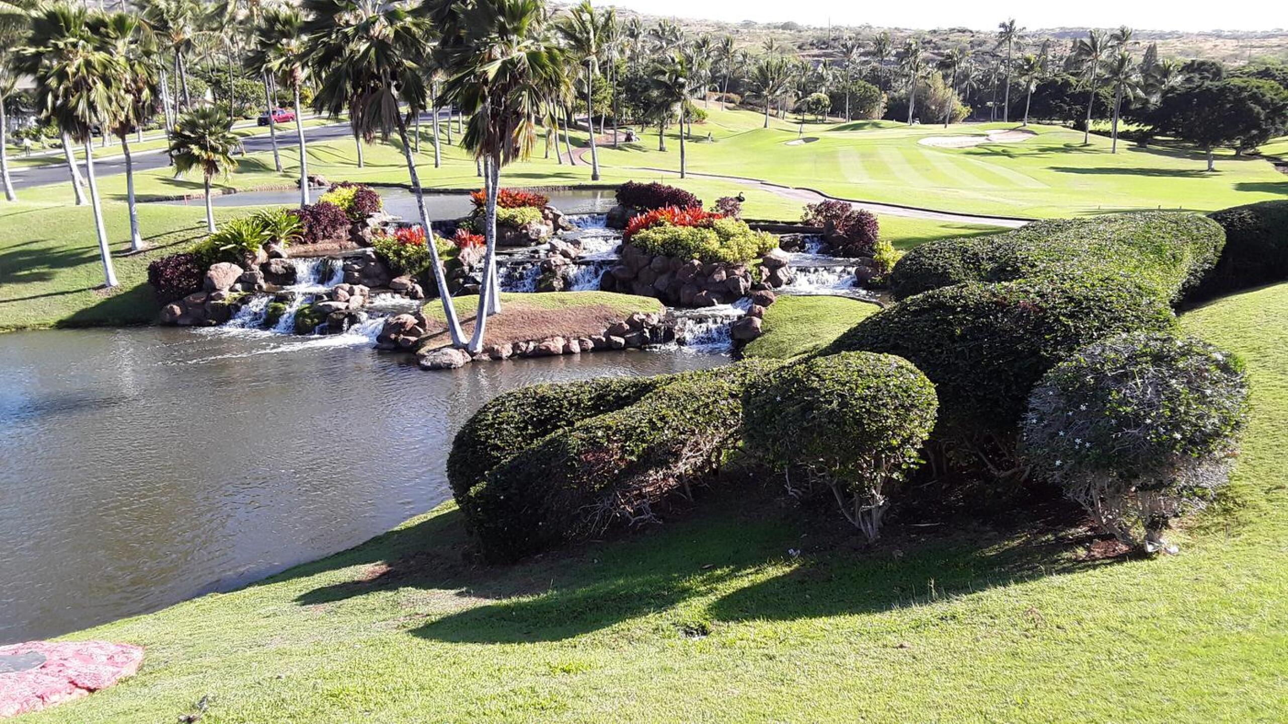 (Photo submitted by gtmaxwell63 on 02/16/2020)