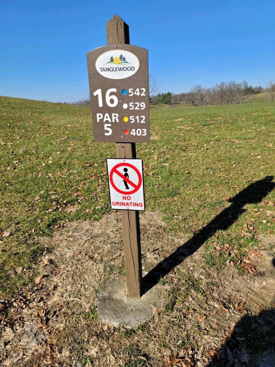 You gotta work it out! (Photo submitted by Airantisubron24 on 12/06/2021)