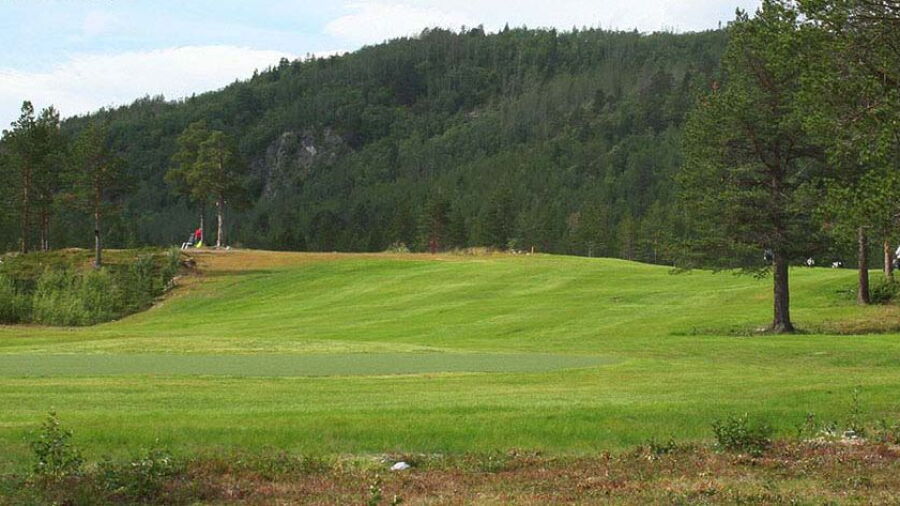 Alta GC: #3