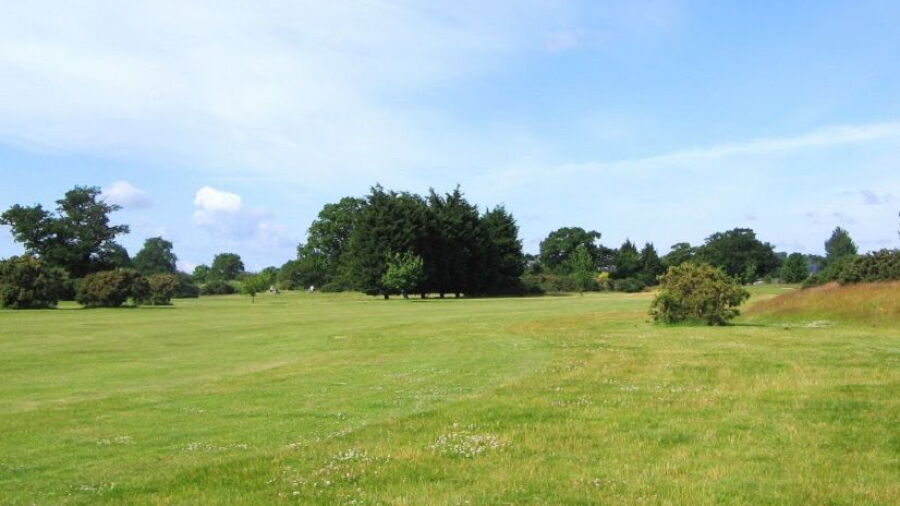 Waldringfield GC