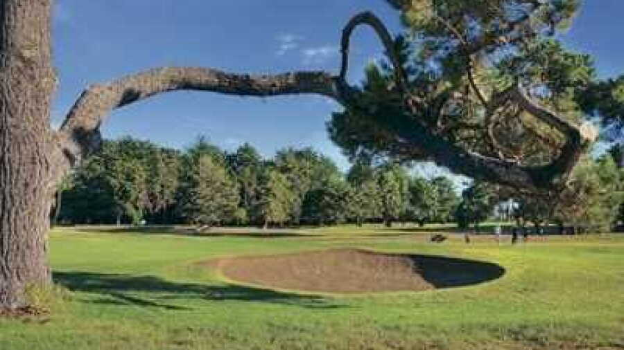 Poverty Bay GC: #10